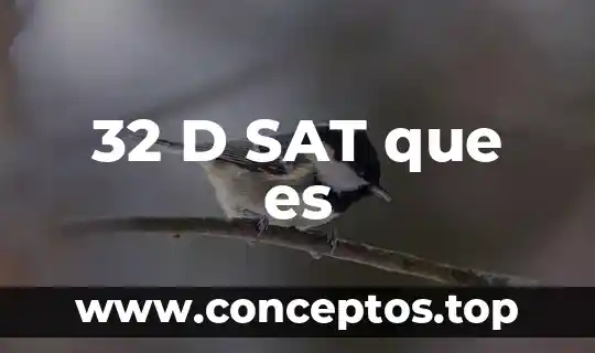 Qué es el sat y sus funciones en México 7 32 D SAT que es