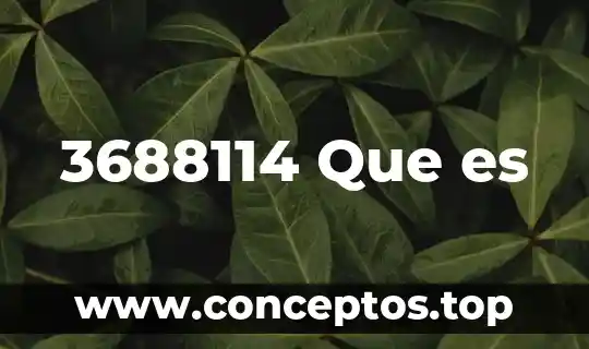 Que significa que es electricamente borrable 8 3688114 Que es