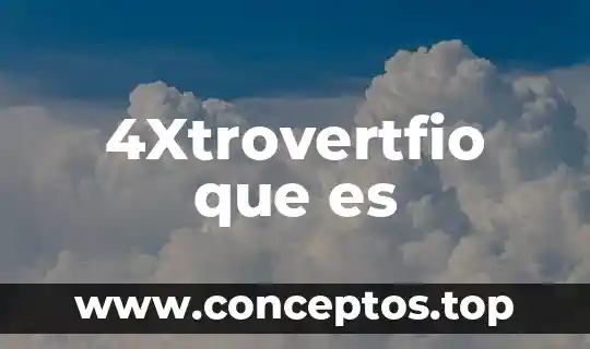 Que es t1 en una organización 3 4Xtrovertfio que es