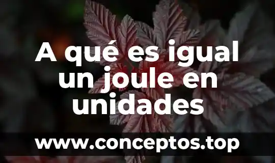 A qué es igual un joule en unidades