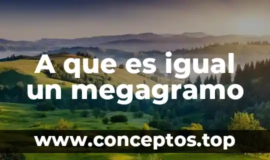 A que es igual un megagramo