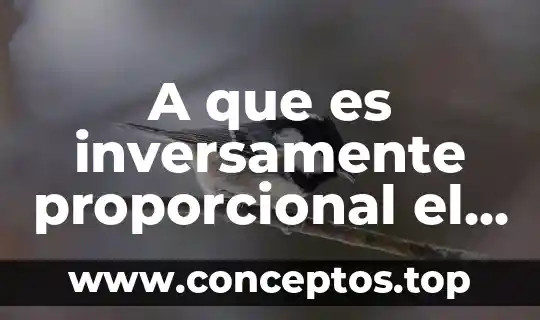 Qué es representación proporcional en México 7 A que es inversamente proporcional el campo electrico