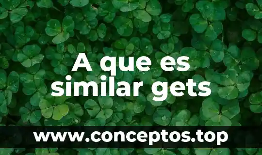Que es el matrimonio y tipos 3 A que es similar gets