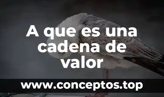 A que es una cadena de valor