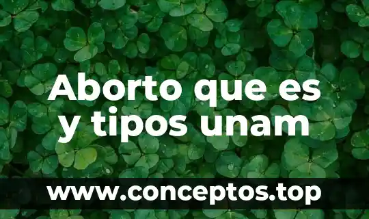 Aborto que es y tipos unam