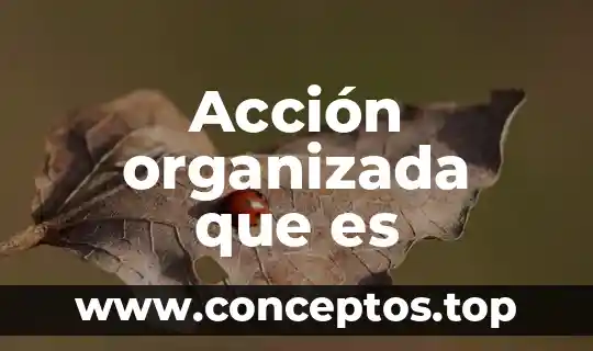 Que es la accion de libertad innovativa 7 Acción organizada que es