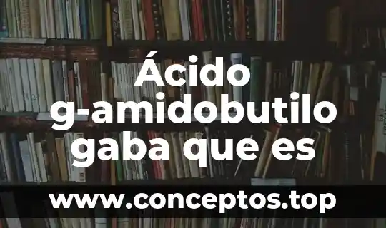 Ácido g-amidobutilo gaba que es