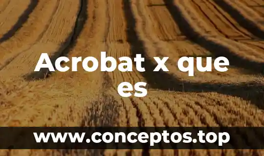 Acrobat x que es