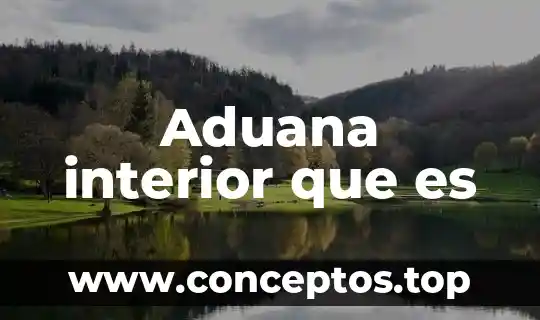 Aduana interior que es