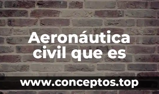 Aeronáutica civil que es