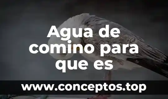 Agua de comino para que es