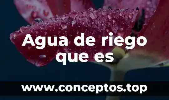 Agua de riego que es
