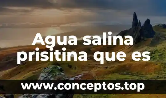 Agua salina prisitina que es