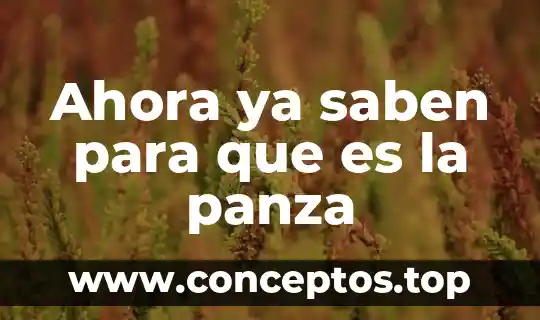 Ahora ya saben para que es la panza