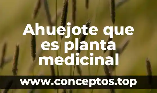 Qué es una planta fotovoltaica 7 Ahuejote que es planta medicinal