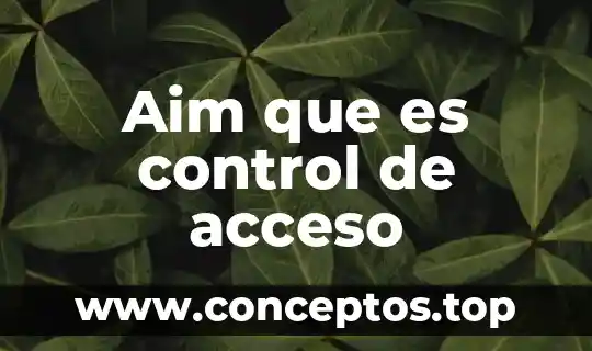 Que es un sistema de control diseno de detalle 4 Aim que es control de acceso
