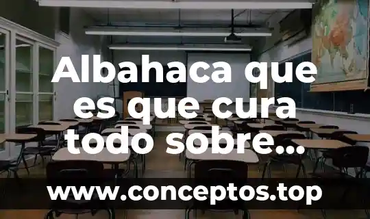 Que es un cura ecónomo 8 Albahaca que es que cura todo sobre esta planta