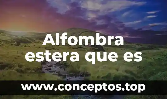 Alfombra estera que es
