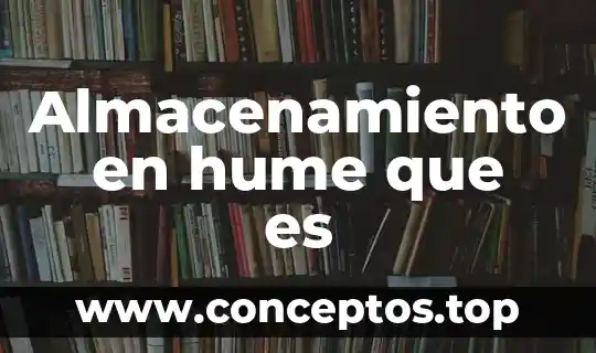 Que es unidad media de almacenamiento 5 Almacenamiento en hume que es