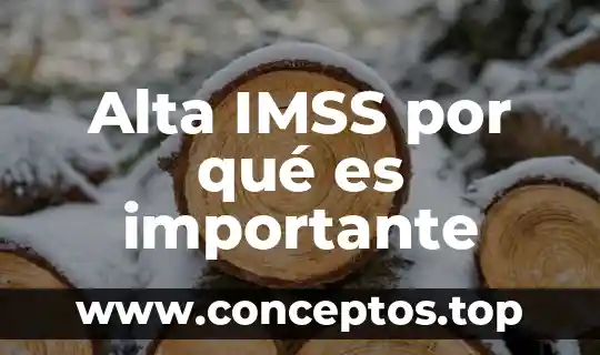 Alta IMSS por qué es importante