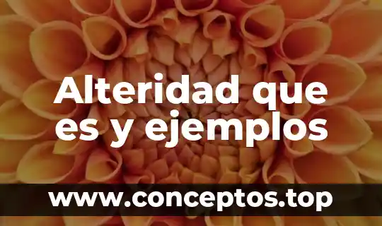 Alteridad que es y ejemplos