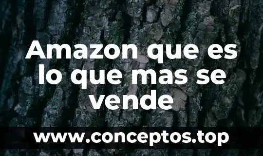Amazon que es lo que mas se vende