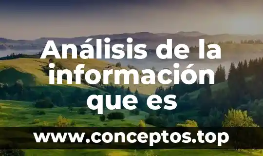 Procesamiento de información qué es 3 Análisis de la información que es