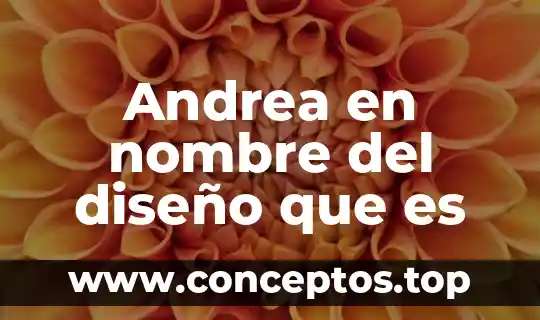 Que es el diseño de materiales 6 Andrea en nombre del diseño que es