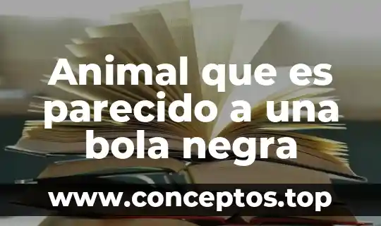 Animal que es parecido a una bola negra