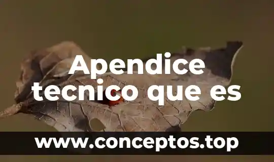 Que es un glioma tecnico 7 Apendice tecnico que es