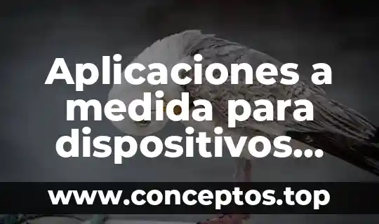 Sistema de medida que es 8 Aplicaciones a medida para dispositivos móviles que es