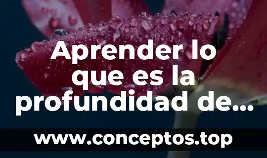 Aprender lo que es la profundidad de campo