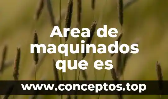 Area de maquinados que es