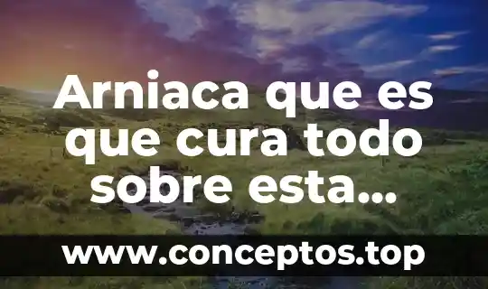 Persona que todo piensa que es en su contra 4 Arniaca que es que cura todo sobre esta planta