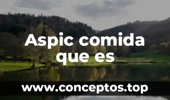 Que es lo correcto en una comida por bautizo 5 Aspic comida que es