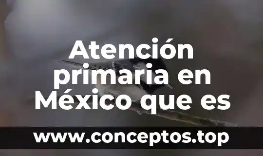 Atención primaria en México que es