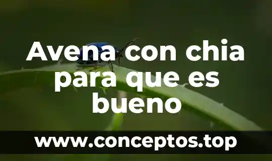 Avena natural que es compuesto elemento 4 Avena con chia para que es bueno