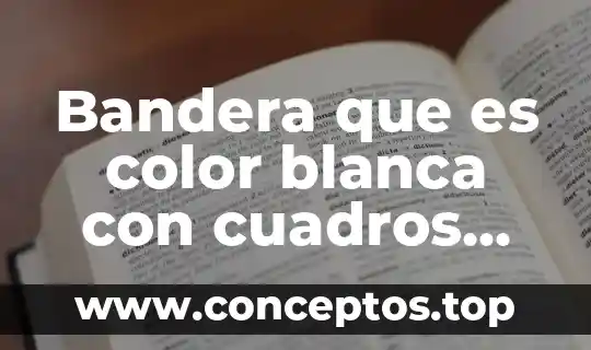Bandera que es color blanca con cuadros azules