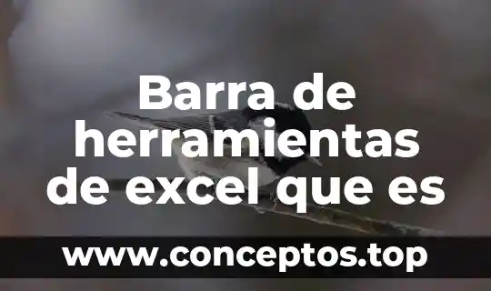 Barra de herramientas de excel que es