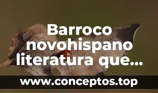 Barroco novohispano literatura que es