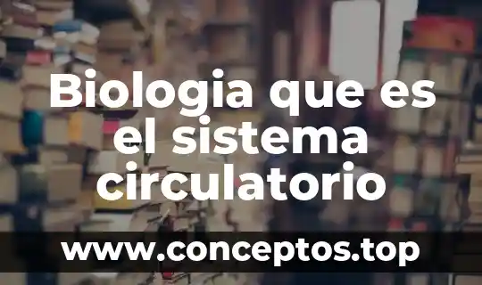Biologia que es el sistema circulatorio