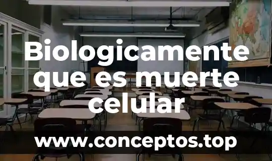 Biologicamente que es muerte celular