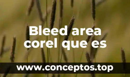 Bleed area corel que es