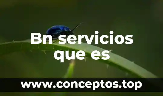 Bn servicios que es