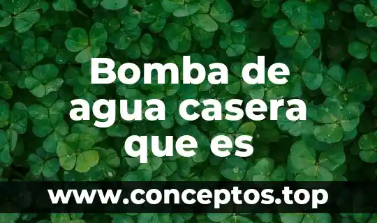 Bomba de agua casera que es