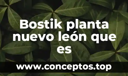 Bostik planta nuevo león que es