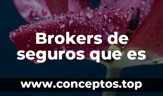 Que es el cif axa seguros 7 Brokers de seguros que es