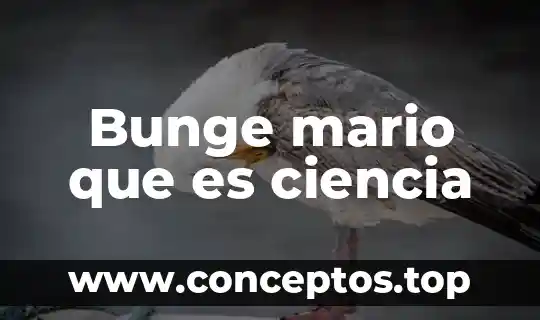 Bunge mario que es ciencia