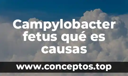 Campylobacter fetus qué es causas