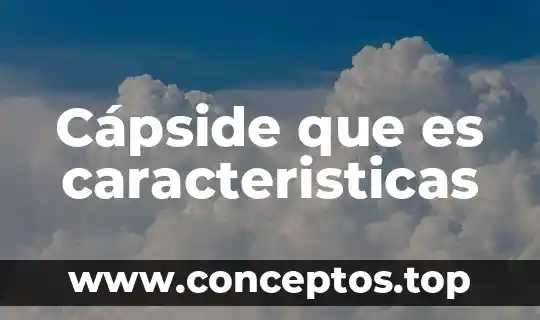 Cápside que es caracteristicas